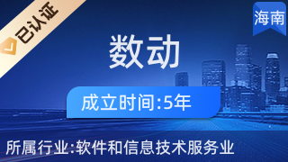 互联网销售赋能海南数动网络科技的创新与发展